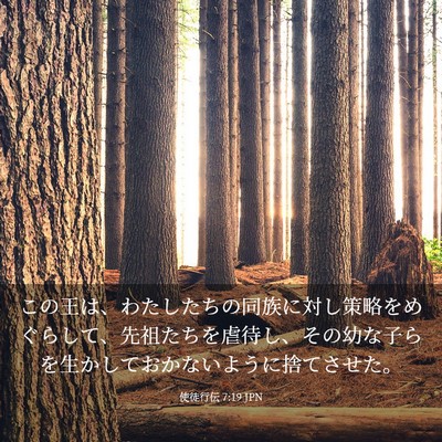 Picture 03 - 使徒行伝 7:19 JPN - この王は、わたしたちの同族に対し - Bible Verse Picture