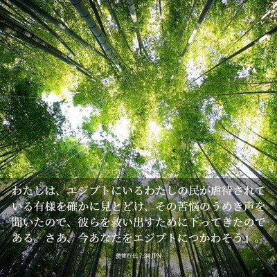 Picture 03 - 使徒行伝 7:34 JPN - わたしは、エジプトにいるわたしの - Bible Verse Picture
