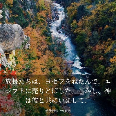 Picture 03 - 使徒行伝 7:9 JPN - 族長たちは、ヨセフをねたんで、エ - Bible Verse Picture