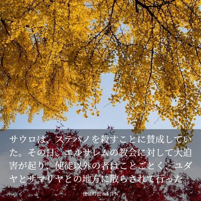 Picture 03 - 使徒行伝 8:1 JPN - サウロは、ステパノを殺すことに賛 - Bible Verse Picture
