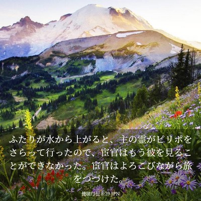 Picture 03 - 使徒行伝 8:39 JPN - ふたりが水から上がると、主の霊が - Bible Verse Picture