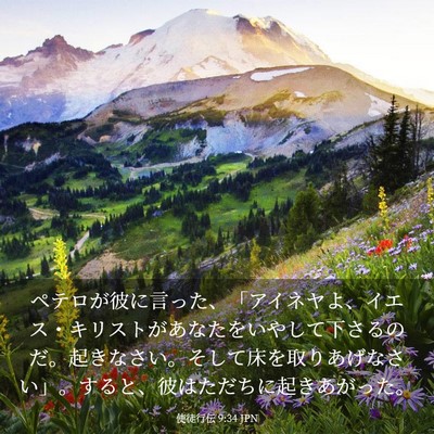 Picture 03 - 使徒行伝 9:34 JPN - ペテロが彼に言った、「アイネヤよ - Bible Verse Picture