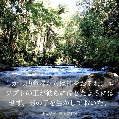 Picture 03 - 出エジプト記 1:17 JPN - しかし助産婦たちは神をおそれ、エ - Bible Verse Picture