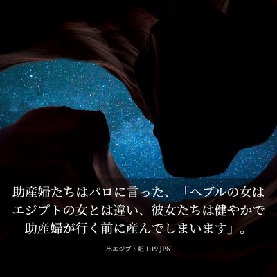 Picture 03 - 出エジプト記 1:19 JPN - 助産婦たちはパロに言った、「ヘブ - Bible Verse Picture
