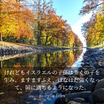 Picture 03 - 出エジプト記 1:7 JPN - けれどもイスラエルの子孫は多くの - Bible Verse Picture