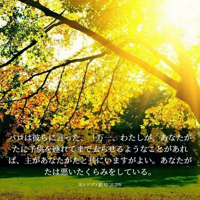 Picture 03 - 出エジプト記 10:10 JPN - パロは彼らに言った、「万一、わた - Bible Verse Picture