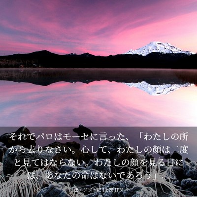 Picture 03 - 出エジプト記 10:28 JPN - それでパロはモーセに言った、「わ - Bible Verse Picture
