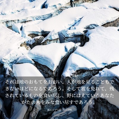 Picture 03 - 出エジプト記 10:5 JPN - それは地のおもてをおおい、人が地 - Bible Verse Picture