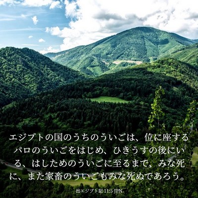 Picture 03 - 出エジプト記 11:5 JPN - エジプトの国のうちのういごは、位 - Bible Verse Picture
