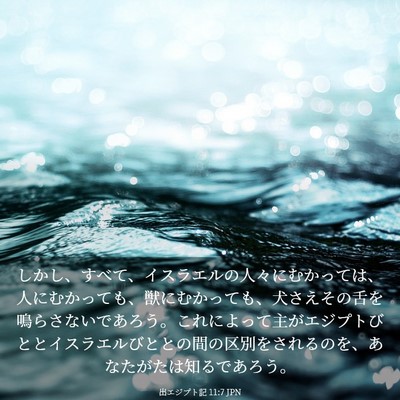 Picture 03 - 出エジプト記 11:7 JPN - しかし、すべて、イスラエルの人々 - Bible Verse Picture