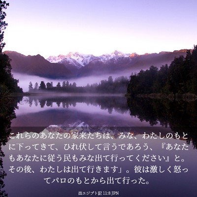 Picture 03 - 出エジプト記 11:8 JPN - これらのあなたの家来たちは、みな - Bible Verse Picture
