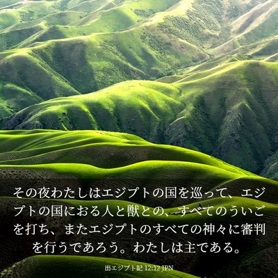Picture 03 - 出エジプト記 12:12 JPN - その夜わたしはエジプトの国を巡っ - Bible Verse Picture