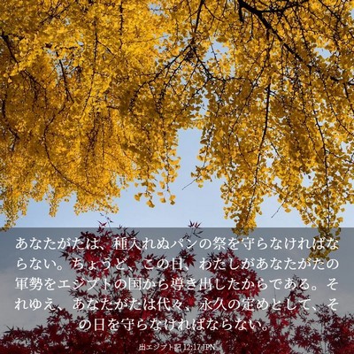 Picture 03 - 出エジプト記 12:17 JPN - あなたがたは、種入れぬパンの祭を - Bible Verse Picture