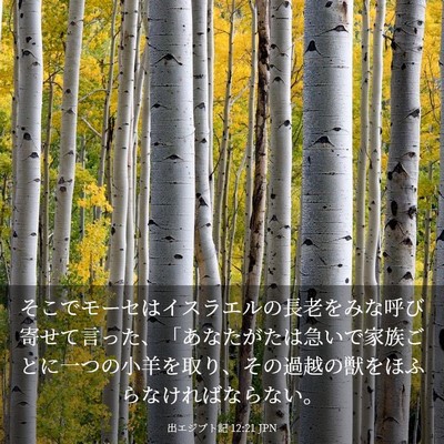 Picture 03 - 出エジプト記 12:21 JPN - そこでモーセはイスラエルの長老を - Bible Verse Picture