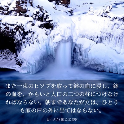 Picture 03 - 出エジプト記 12:22 JPN - また一束のヒソプを取って鉢の血に - Bible Verse Picture