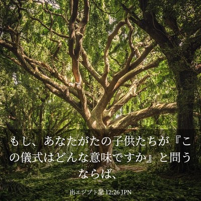 Picture 03 - 出エジプト記 12:26 JPN - もし、あなたがたの子供たちが『こ - Bible Verse Picture