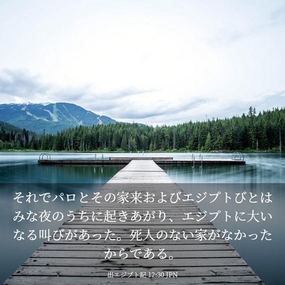 Picture 03 - 出エジプト記 12:30 JPN - それでパロとその家来およびエジプ - Bible Verse Picture