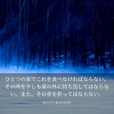 Picture 03 - 出エジプト記 12:46 JPN - ひとつの家でこれを食べなければな - Bible Verse Picture