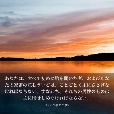 Picture 03 - 出エジプト記 13:12 JPN - あなたは、すべて初めに胎を開いた - Bible Verse Picture