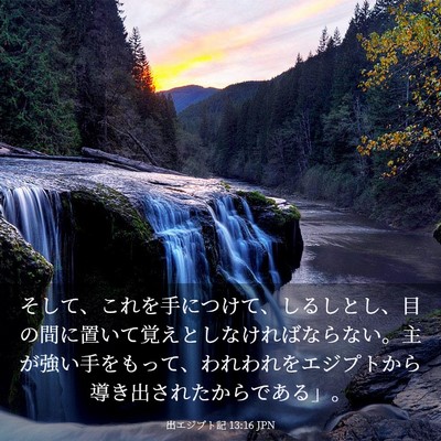 Picture 03 - 出エジプト記 13:16 JPN - そして、これを手につけて、しるし - Bible Verse Picture