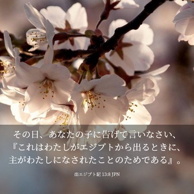 Picture 03 - 出エジプト記 13:8 JPN - その日、あなたの子に告げて言いな - Bible Verse Picture