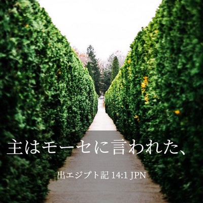 Picture 03 - 出エジプト記 14:1 JPN - 主はモーセに言われた、 - Bible Verse Picture