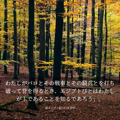 Picture 03 - 出エジプト記 14:18 JPN - わたしがパロとその戦車とその騎兵 - Bible Verse Picture