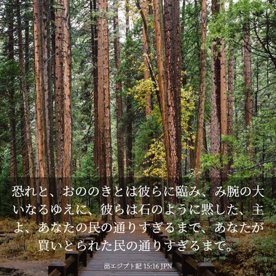 Picture 03 - 出エジプト記 15:16 JPN - 恐れと、おののきとは彼らに臨み、 - Bible Verse Picture
