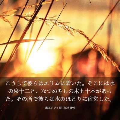 Picture 03 - 出エジプト記 15:27 JPN - こうして彼らはエリムに着いた。そ - Bible Verse Picture