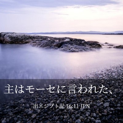 Picture 03 - 出エジプト記 16:11 JPN - 主はモーセに言われた、 - Bible Verse Picture