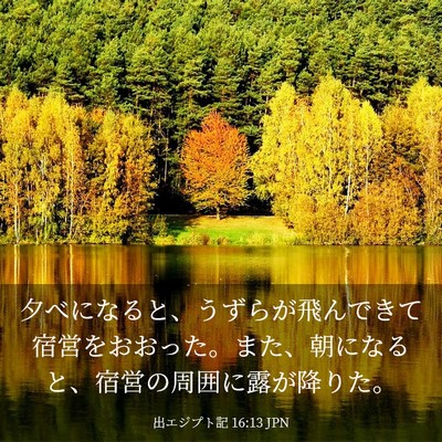 Picture 03 - 出エジプト記 16:13 JPN - 夕べになると、うずらが飛んできて - Bible Verse Picture