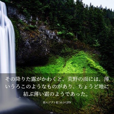 Picture 03 - 出エジプト記 16:14 JPN - その降りた露がかわくと、荒野の面 - Bible Verse Picture