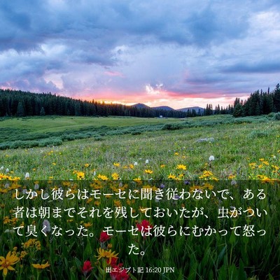 Picture 03 - 出エジプト記 16:20 JPN - しかし彼らはモーセに聞き従わない - Bible Verse Picture