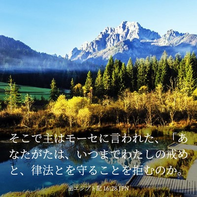 Picture 03 - 出エジプト記 16:28 JPN - そこで主はモーセに言われた、「あ - Bible Verse Picture