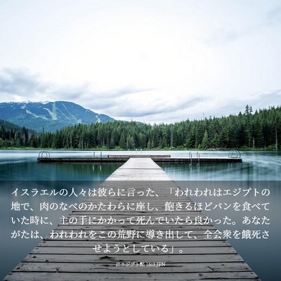 Picture 03 - 出エジプト記 16:3 JPN - イスラエルの人々は彼らに言った、 - Bible Verse Picture
