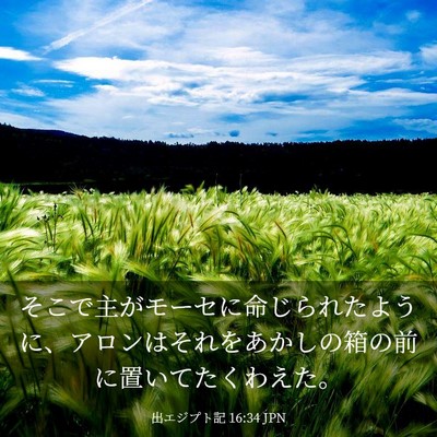 Picture 03 - 出エジプト記 16:34 JPN - そこで主がモーセに命じられたよう - Bible Verse Picture