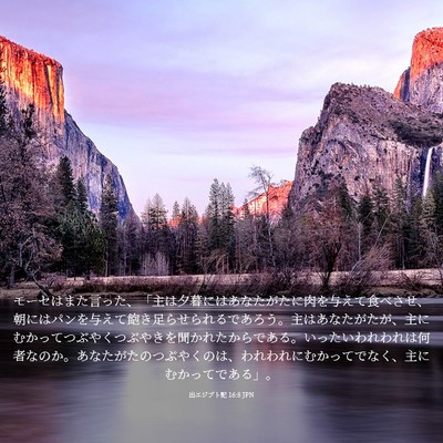 Picture 03 - 出エジプト記 16:8 JPN - モーセはまた言った、「主は夕暮に - Bible Verse Picture