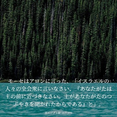 Picture 03 - 出エジプト記 16:9 JPN - モーセはアロンに言った、「イスラ - Bible Verse Picture