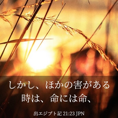 Picture 03 - 出エジプト記 21:23 JPN - しかし、ほかの害がある時は、命に - Bible Verse Picture