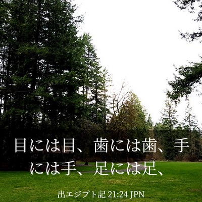 Picture 03 - 出エジプト記 21:24 JPN - 目には目、歯には歯、手には手、足 - Bible Verse Picture