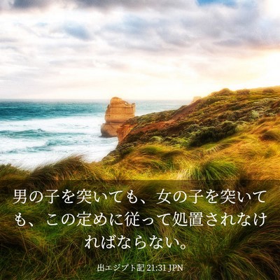 Picture 03 - 出エジプト記 21:31 JPN - 男の子を突いても、女の子を突いて - Bible Verse Picture