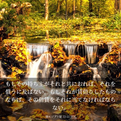 Picture 03 - 出エジプト記 22:15 JPN - もしその持ち主がそれと共におれば - Bible Verse Picture