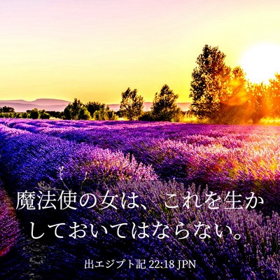 Picture 03 - 出エジプト記 22:18 JPN - 魔法使の女は、これを生かしておい - Bible Verse Picture