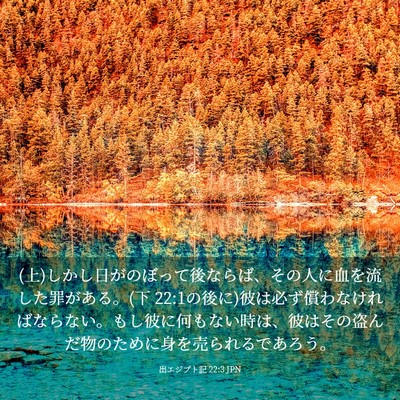 Picture 03 - 出エジプト記 22:3 JPN - (上)しかし日がのぼって後ならば、そ - Bible Verse Picture