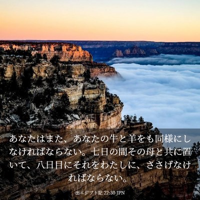 Picture 03 - 出エジプト記 22:30 JPN - あなたはまた、あなたの牛と羊をも - Bible Verse Picture