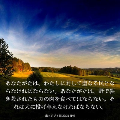 Picture 03 - 出エジプト記 22:31 JPN - あなたがたは、わたしに対して聖な - Bible Verse Picture