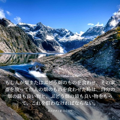 Picture 03 - 出エジプト記 22:5 JPN - もし人が畑またはぶどう畑のものを - Bible Verse Picture