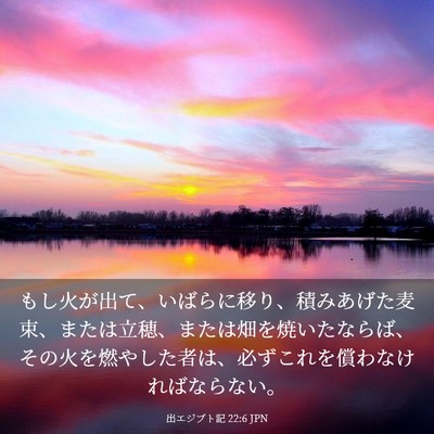 Picture 03 - 出エジプト記 22:6 JPN - もし火が出て、いばらに移り、積み - Bible Verse Picture