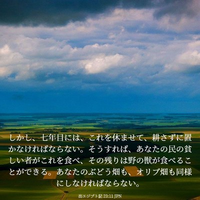 Picture 03 - 出エジプト記 23:11 JPN - しかし、七年目には、これを休ませ - Bible Verse Picture