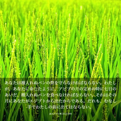 Picture 03 - 出エジプト記 23:15 JPN - あなたは種入れぬパンの祭を守らな - Bible Verse Picture